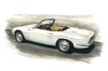 Lotus Elan Royalty Free Stock Photo