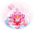 Lotus flower