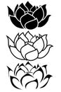 Lotus Flower