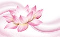 Lotus flower background