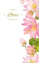 Lotus flower banner Royalty Free Stock Photo
