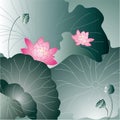 Lotus flower card Royalty Free Stock Photo