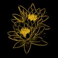 Lotus flower chalk color