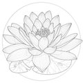 Lotus flower.Coloring book antistress for children and adults