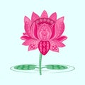 Lotus Flower