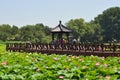 Lotus Flower Festival in Yuanmingyuan Park