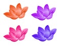 Lotus flower in four colors Royalty Free Stock Photo