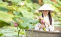 A lotus flower in the hand of a Vietnamese woman. Beautiful Vietnamese holding Pink Lotus on wooden boat in the lake vietnam Royalty Free Stock Photo