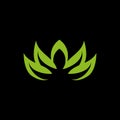 Lotus flower icon logo design vector template Royalty Free Stock Photo