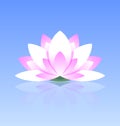 Lotus flower icon