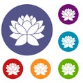 Lotus flower icons set Royalty Free Stock Photo