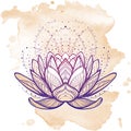 Lotus flower. Intricate stylized linear drawing isolated on grunge background.