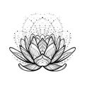 Lotus flower. Intricate stylized linear drawing isolated on white background. Royalty Free Stock Photo