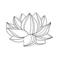 Lotus flower is a large open bud. simple drawing of a lotus with curved petals Royalty Free Stock Photo
