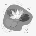 Lotus flower and leaves, water lily, white water lily. Black silhouette on white background. Vector illustration for botanical Royalty Free Stock Photo