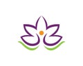 Lotus Flower logos vector design