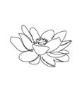 Lotus flower one line art. Continuous line drawing of plants, herb, flower, blossom, nature, flora, water lily. Royalty Free Stock Photo