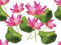 Lotus flower pink color seamless pattern
