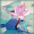 Lotus flower or pink water lily.Vector floral background. Royalty Free Stock Photo