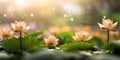 Lotus flower plants in garden pond with blurred background. Generative AI Royalty Free Stock Photo
