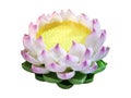 mannequin Simulation lotus flower with white and pink petals . isolated white background