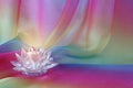 Lotus Light rainbow chiffon background