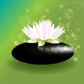 Lotus flower sparkle bubbles on black spa stone logo