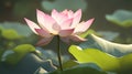 Lotus flower stands tall amidst a serene pond setting, rendered in a stylized, digital artwork Royalty Free Stock Photo