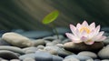 Lotus flower stone background. Illustration AI Generative