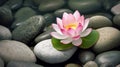 Lotus flower stone background. Illustration AI Generative
