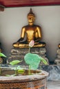 Lotus flower in Thailand monastery with buddah statue background Royalty Free Stock Photo