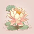 Lotus flower. Vector illustration of a beautiful water lily. Royalty Free Stock Photo