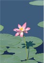 Lotus flower vector