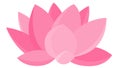 Lotus Flower, Lotus Flower Vector, Pink Petals