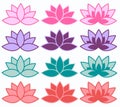 Lotus flowers in different colours