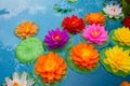 Lotus flowers floating in the pond Royalty Free Stock Photo