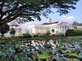 lotus flowers in front of Bogor Palace Royalty Free Stock Photo