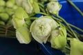 Lotus flowers for offerings Buddha in Buddhist religious ceremony