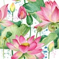 Lotus flowers seamless pattern. watercolor botanical illustration.