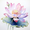 Lotus flowers water color style Royalty Free Stock Photo