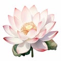 Lotus flowers water color style Royalty Free Stock Photo