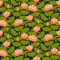 Lotus flowers, water lilies seamless pattern