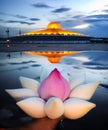 lotus flowers worship Dhammakaya cetiya