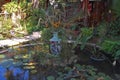 The Lotus Garden asian fine dining restaurant outdoor water pond in Puerto Princesa, Palawan, Philippines