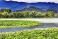 Lotus Garden Reflection Summer Palace Beijing China Royalty Free Stock Photo