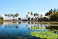 Lotus lagoon in Bali Royalty Free Stock Photo