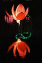 Lotus lantern in the gardens