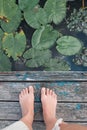Lotus leaves on lake top view. Lotus leaves on lake top view with legs. Natural beautiful wallpaper, background with feet. Aquatic Royalty Free Stock Photo