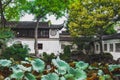 Lotus leaves and traditional Chinese architecture at Lingering Garden Scenic Area, Suzhou, Jiangsu, China Royalty Free Stock Photo