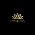 Lotus logo template Royalty Free Stock Photo